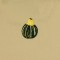 BFC0779 Pillow Wraps - Autumn