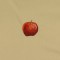 BFC0779 Pillow Wraps - Autumn