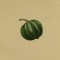 BFC0779 Pillow Wraps - Autumn