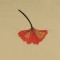 BFC0779 Pillow Wraps - Autumn