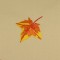 BFC0779 Pillow Wraps - Autumn