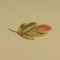 BFC0779 Pillow Wraps - Autumn
