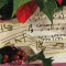 BFC0781 Window-A Poinsettia