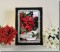BFC0781 Window-A Poinsettia