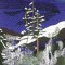 BFC0783 Window - Four Seasons - Winter Peace