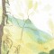 BFC0784 Window - Forest Dawn