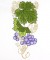 BFC0785 Elegant Thanksgiving & More