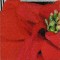 BFC0786 Window - A Poinsettia II