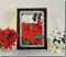 BFC0786 Window - A Poinsettia II