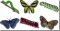 BFC0789 Caterpillars and Butterflies