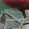 BFC0792 Two Pheasants