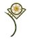 RMG81 Star Web Flower