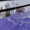 BFC0810 Window - Winter Sunset