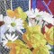 BFC0813 Window - Flowers by a Window