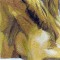 BFC0820 Lion Series-Lion-The Proud King