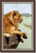 BFC0820 Lion Series-Lion-The Proud King
