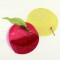 BFC0827 Apples