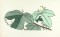 BFC0830 Passion Flower Handbag