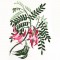 BFC0837 Suz Sampler