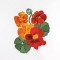 BFC0837 Suz Sampler