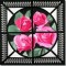 BFC0841 QIH Rose Tile