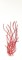 BFC0842 Convertible Handbag Coral Reef