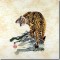 BFC0852 Oriental Fauna - Set I