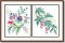 BFC0858 Unique Victorian Combo Florals