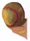 BFC0859 For The Sports Fan
