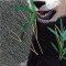 BFC0861 Window-Giant Panda