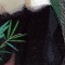 BFC0861 Window-Giant Panda