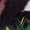 BFC0861 Window-Giant Panda