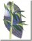 BFC0862 Bamboo