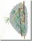 BFC0862 Bamboo