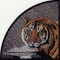 BFC0864 QIH-Tiger Tile