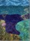 BFC0867 Art Quilt - Undersea Fantasy - Background