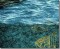 BFC0867 Art Quilt - Undersea Fantasy - Background