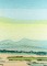 BFC0882 Colors of the West Window Series The Cactus