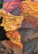 BFC0888 Colors of the West Series The Grand Canyon