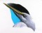BFC0889 Portraits-Egrets and Herons