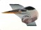 BFC0889 Portraits-Egrets and Herons