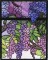 BFC0890 QIH Stained Glass - Wisteria
