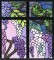 BFC0890 QIH Stained Glass - Wisteria