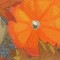 BFC0891 Window- Pumpkin Splendor