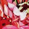 BFC0893 Window-Dahlia Splendor