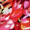 BFC0893 Window-Dahlia Splendor