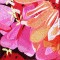 BFC0893 Window-Dahlia Splendor