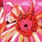 BFC0893 Window-Dahlia Splendor