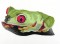 BFC0902 Frogs