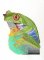 BFC0902-04 Frog No.4